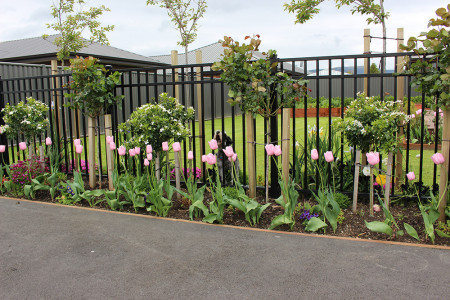 Aluminium garden fence with dog sitting on lawn