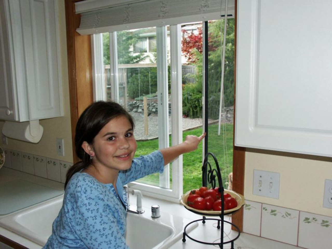 SetWidth850 Sliding insect screens are ideal for hard to reach places in your home